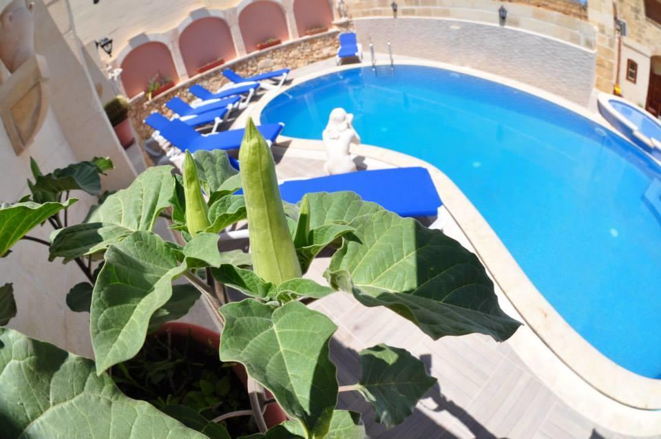 Mikiel U Rosa Holiday Farmhouse With Large Private Pool Zebbug  ภายนอก รูปภาพ